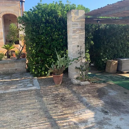 Il Pino