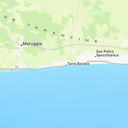 Il Pino *